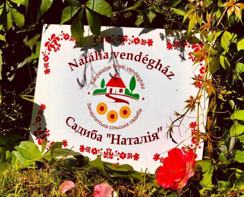 Hotel Natalia Vendeghaz Csetfalvat Zewnętrze zdjęcie